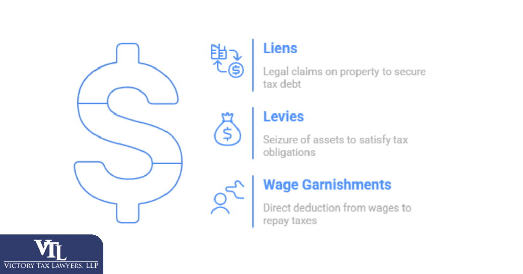 What Actions Can the IRS Take to Collect Taxes?