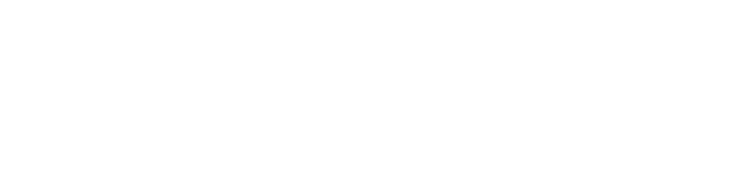 Signature of Amir Boroumand